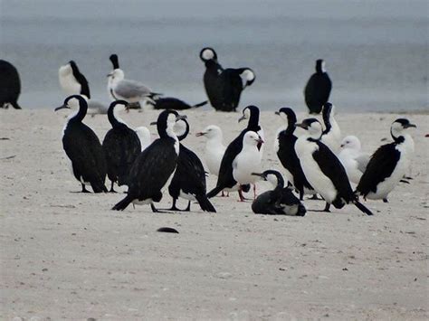 TROUBRIDGE ISLAND CONSERVATION PARK (2025) All You Need to Know BEFORE ...