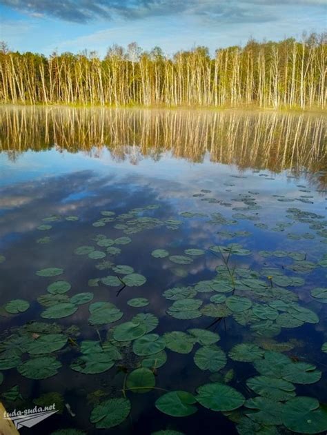 Озеро Щучье Омская область: базы отдыха, как добраться, фото