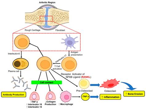 Recent Advances in Polymer-Based Nanomaterials for Non-Invasive ...