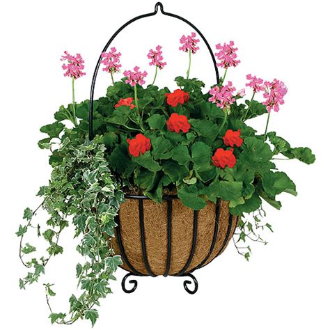 Horticulture :: Landscaping :: Hanging Containers