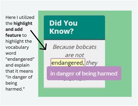 Insert Learning 的图像结果