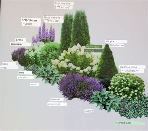 Border purple white paars wit | Front yard garden, Curb appeal ...