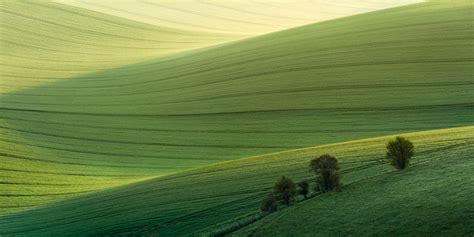 Photography Fieldwork of People 的图像结果