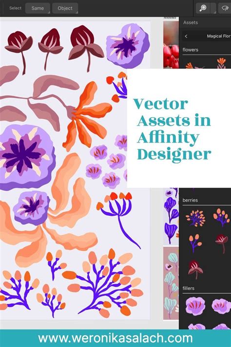 Image result for Create Assets Affinity Designer