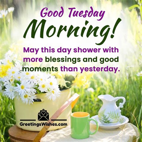 Tuesday Morning Wishes to Bring Energy and Positivity - Greetings Wishes