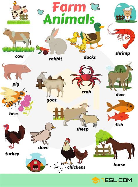 Farm Animals List | Apprendre l'anglais, Comment apprendre l'anglais et ...
