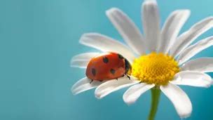 Accounting and Auditing Update