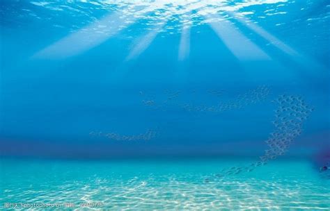 水下,在底端,空的,背景,海洋,热带气候,水面,模板,海底,在下面摄影素材,汇图网www.huitu.com