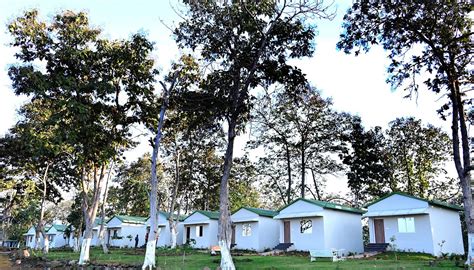 THE GOLDEN WOODS RESORT (Hoshangabad District) - Hotel Reviews, Photos ...