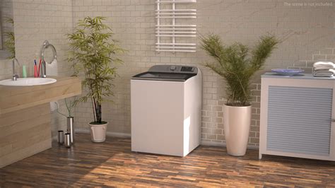 3D model Top Load Washer | 3D Molier International