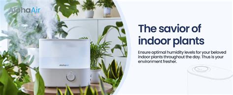 AlohaAir Humidifiers for Room, Cool Mist Top Fill Essential Oil ...