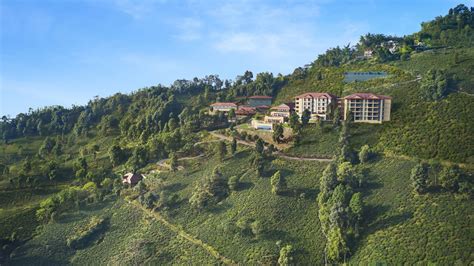 A new Taj hotel opens in Darjeeling’s tea estates | Condé Nast ...
