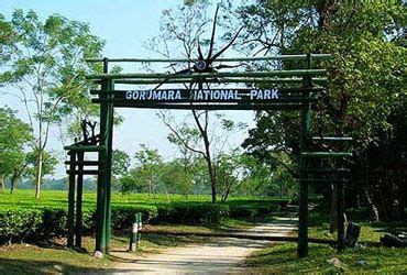 Dooars Travel Guide: Best Places to Visit - Gorumara, Jaldapara, Buxa ...