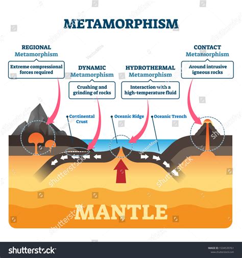 Metamorphic Rock Formation