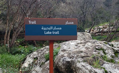 CHOUANE LAKE (2026) All You Need to Know BEFORE You Go (with Reviews ...