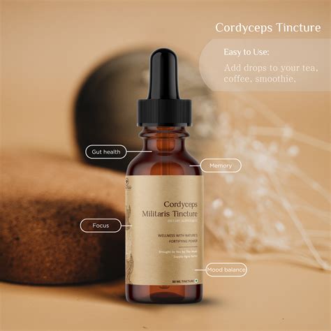 Cordyceps Tincture – The Mush Supply Agro Farms