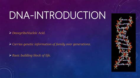 DNA Mutation 的图像结果