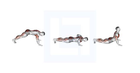 Image result for Push Back Push-Up