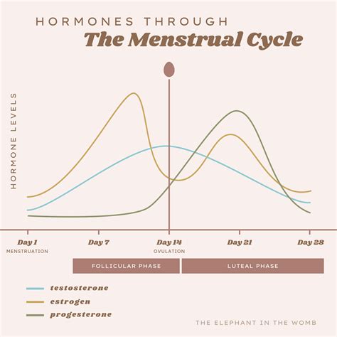 Period Cycle Graph 的图像结果