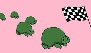 How to Make a Turtle Race in Python 的图像结果