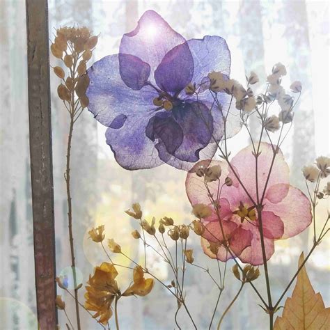 How to Make Beautiful Pressed Flower Art: A Beginner's Guide - HubPages