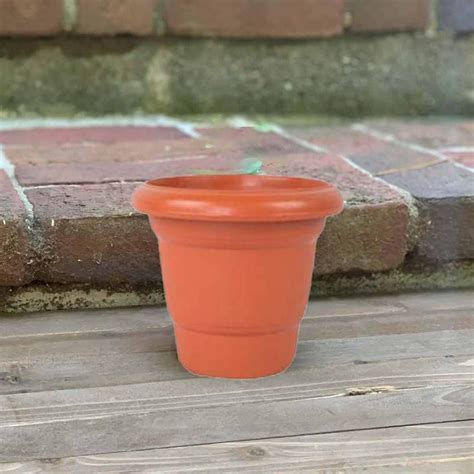 Homesick Virgin Plastic Round Pot (8 Inches)-Terracotta Color -Set of 6 ...