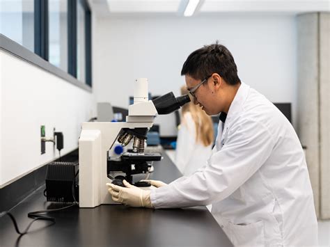 Image result for Pre Formulation