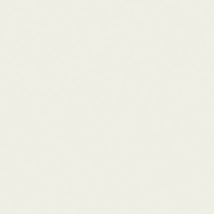 2103 FROSTY WHITE || Bell Laminates