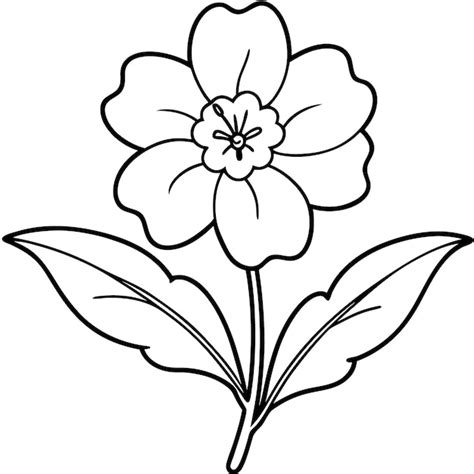 Primrose flower line art vector primrose outline illustration | Premium ...