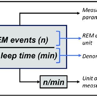 Image result for Rem Net Use