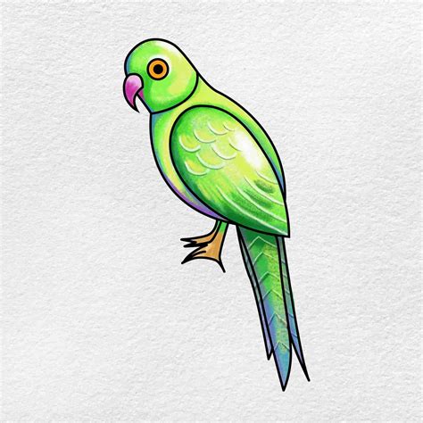 Image result for Simple Parrot Treets