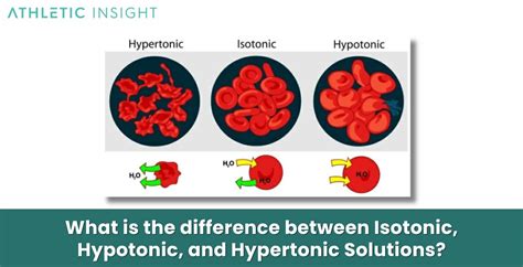 Image result for Isotonic Solution Examples