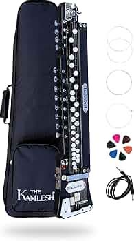 THE KAMLESH Bulbul Tarang with Bag - 29 Keys & 14 String Instrument ...