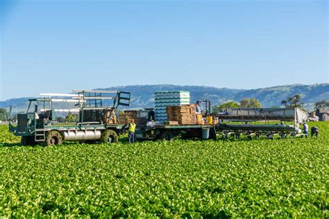 SQL Maintain Shipper 的图像结果