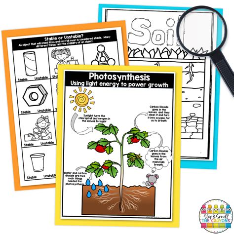 3rd Grade Science 的图像结果