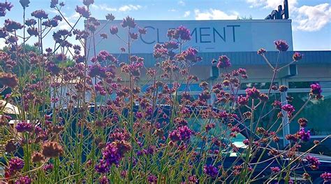 HOTEL CLEMENT (Ingelheim) - Guesthouse Reviews, Photos, Rate Comparison ...