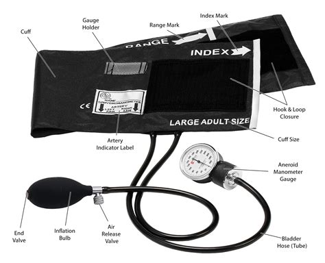 Blood Pressure Cuff Parts Names at Virginia Olsen blog