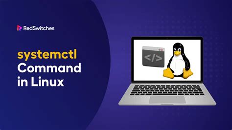 Linux Mint vs Ubuntu 的图像结果