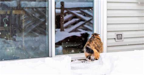 Image result for How to Weatherproof Sliding Windows