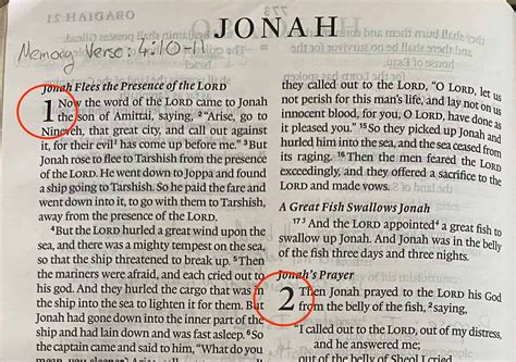 How the Bible is Structured and Formatted and Why It Is Important ...