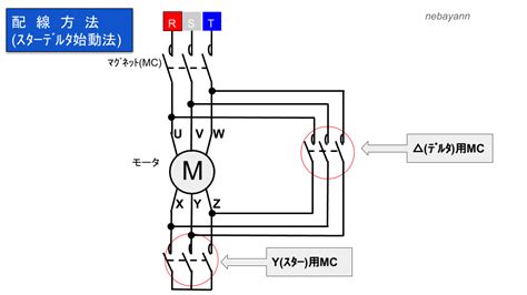 Image result for Transcript Expression