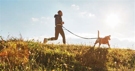 Image result for Exercise and Addiction Recovery