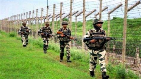 22 Bangladeshi Infiltrators Held in Assam, Pushed Back: CM