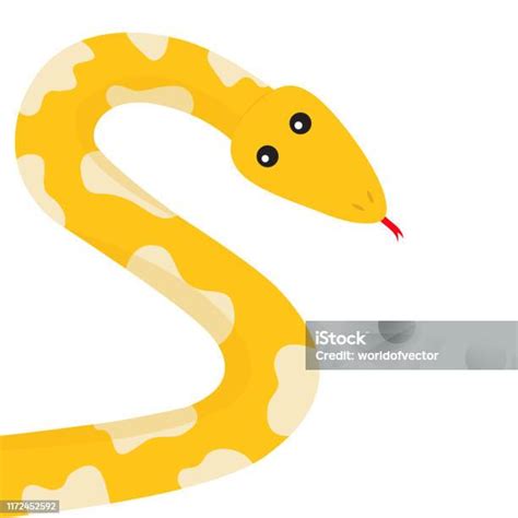 Image result for Gelbe Python