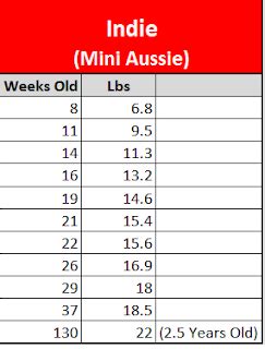 Mini Aussie Growth Chart 的图像结果
