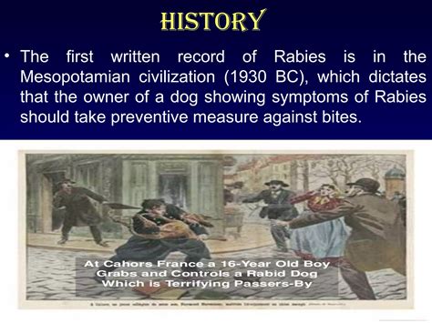 Living With Rabies In Ancient Times: What We Know