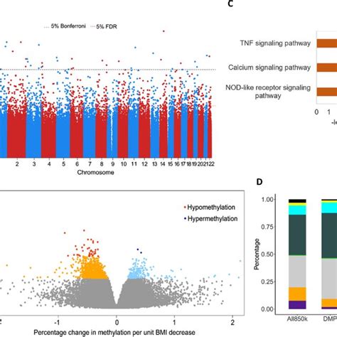Image result for DMP File Analysis