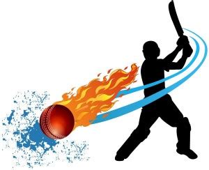 Wolbas 57 cm Cricket Logo wallsticker Self Adhesive Sticker Price in ...