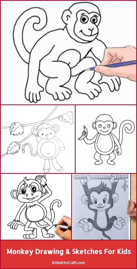 Monkeys Drawings Step By Step