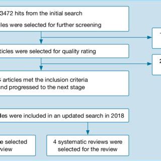 Image result for Selection Structure Python Flowchart